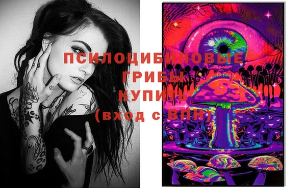 бошки Армянск
