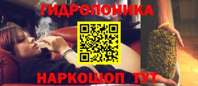 a pvp Жуковский