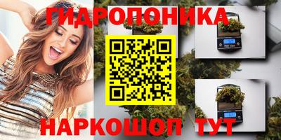 a pvp Жуковский