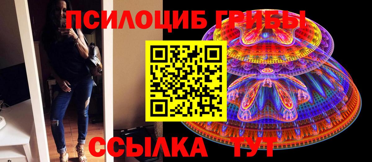 Галлюциногенные грибы Psilocybe Мыски
