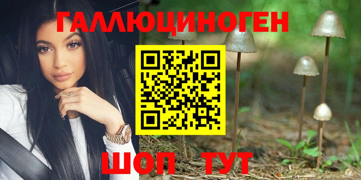 сколько стоит  Вход с VPN  Мыски  Галлюциногенные грибы Psilocybe 